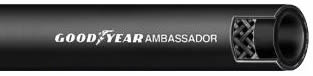 Ambassador Ambassador