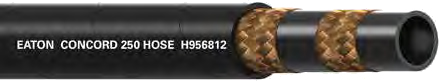 H9568 Concord 250 Steam Hose