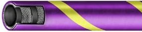 Purple Flexwing Purple Flexwing