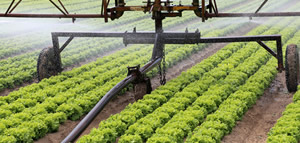 Agricultural Hose Program - Hoses by Industry