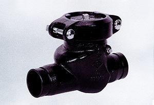 Grooved Swing Check Valve with Bonnet - Smith-Cooper Oil and Gas Products