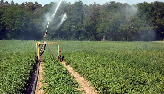 Irrigation Water Hose - EPDM Spray Hose