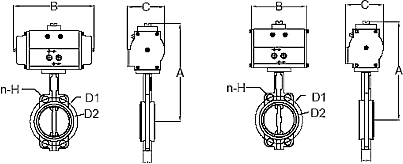 Rack and Pinion Actuator