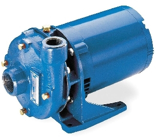 1BF20734 Cast Iron Centrifugal Pump