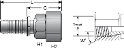 Gates Female Japanese Industrial Standard 30° Flare Swivel