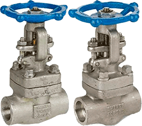 Series 34836 Forged 316L Stainless Steel Gate Valve