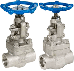 Series 44836 Forged 316L Stainless Steel Globe Valve