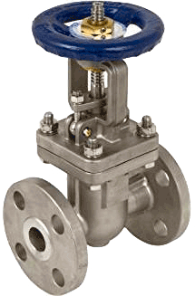 Series 35316 316L Stainless Steel 300 lb. Flanged Gate Valve