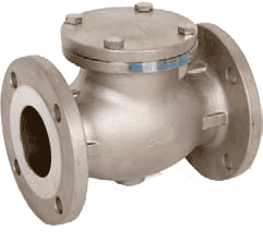 Series 25316 316 Stainless Steel 300 lb. Flanged Check Valve
