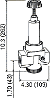 Wilkerson High Flow Regulator R30