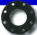 Kroy Companion Flange Gasket